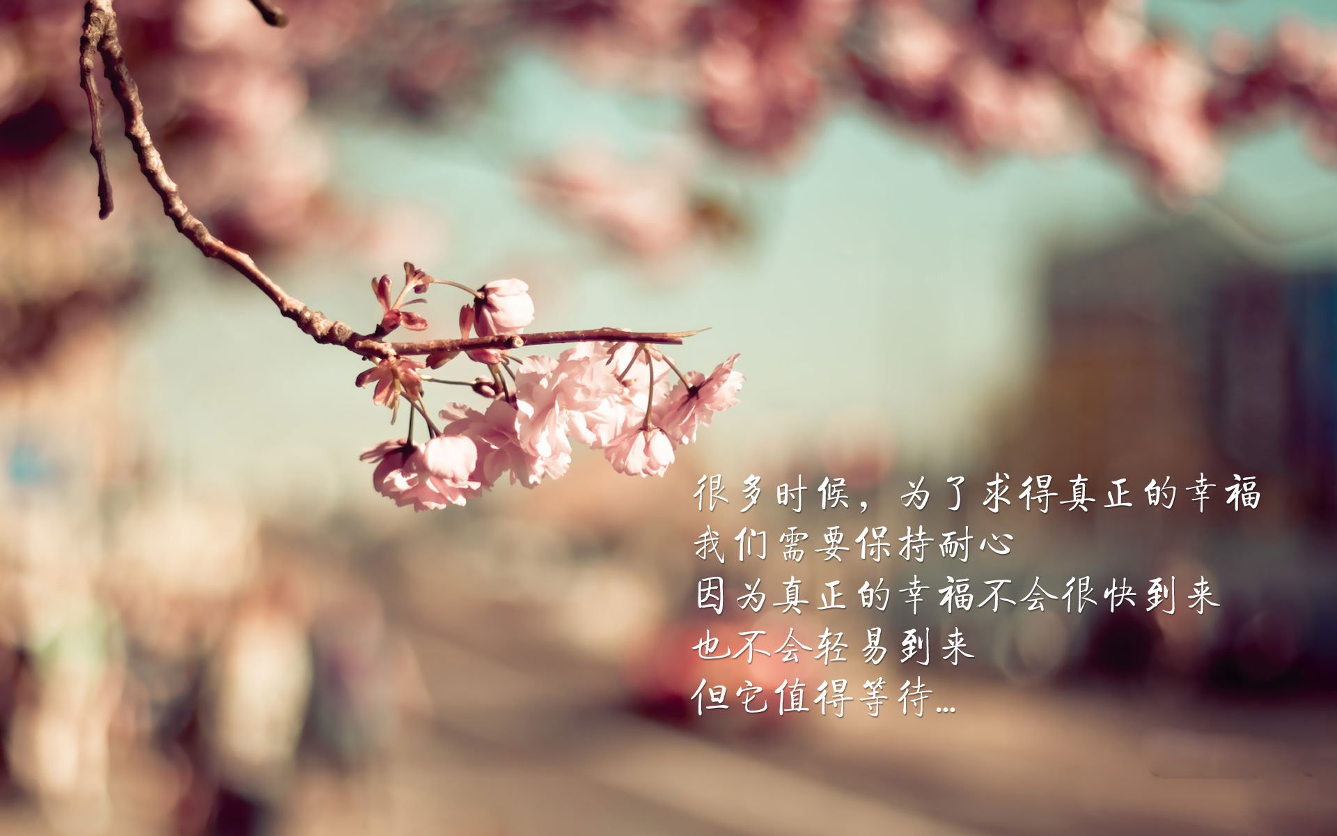 绿茵场与硬木地板的共鸣，西甲国家德比焦点战启示山西队险胜篮网