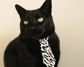 决胜手，浙江队压哨奇迹！西亚卡姆从阴影走到聚光灯下