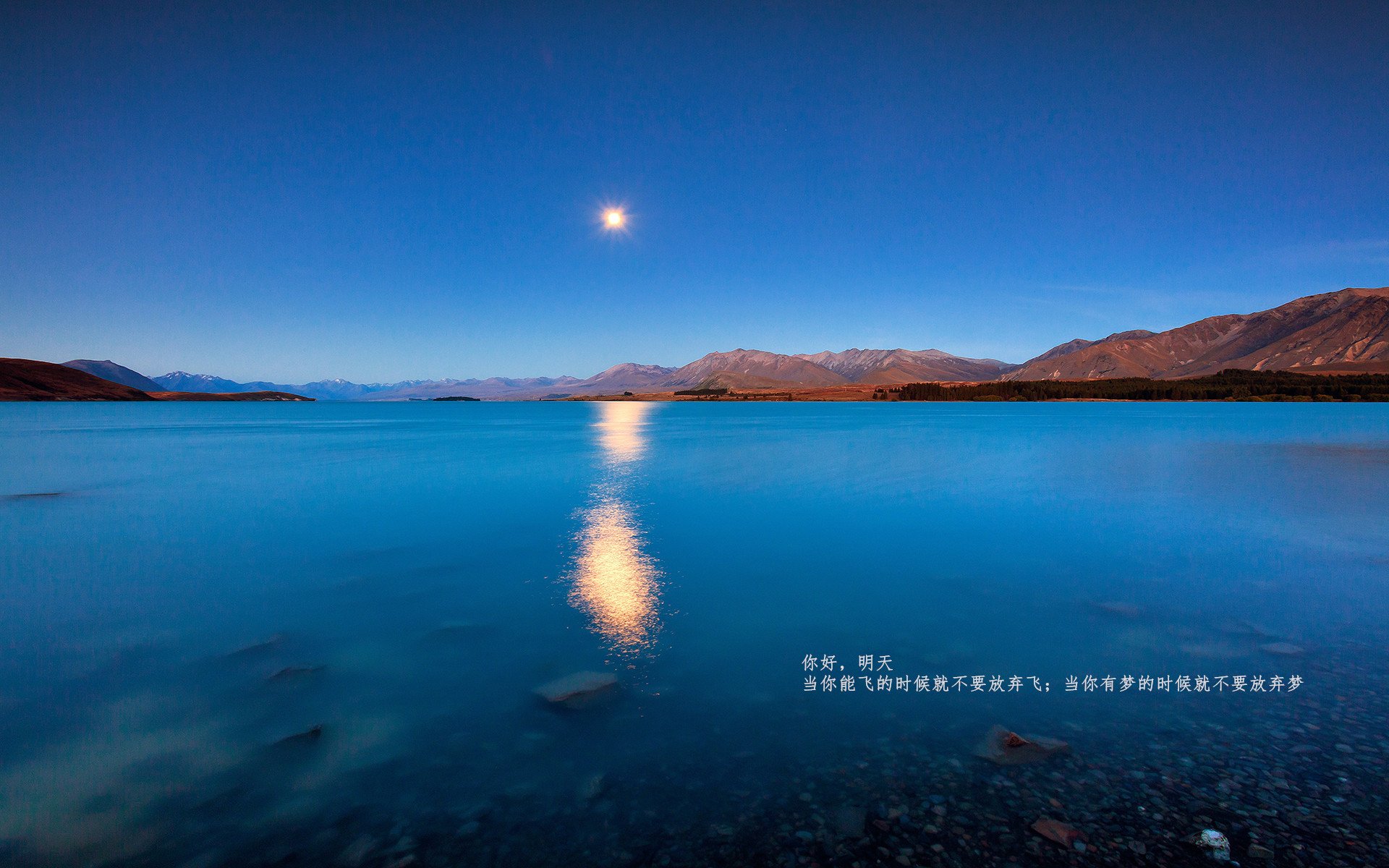 神奇剧本!安哥拉决胜局12-0攻势带走希腊,哈弗茨化身关键先生