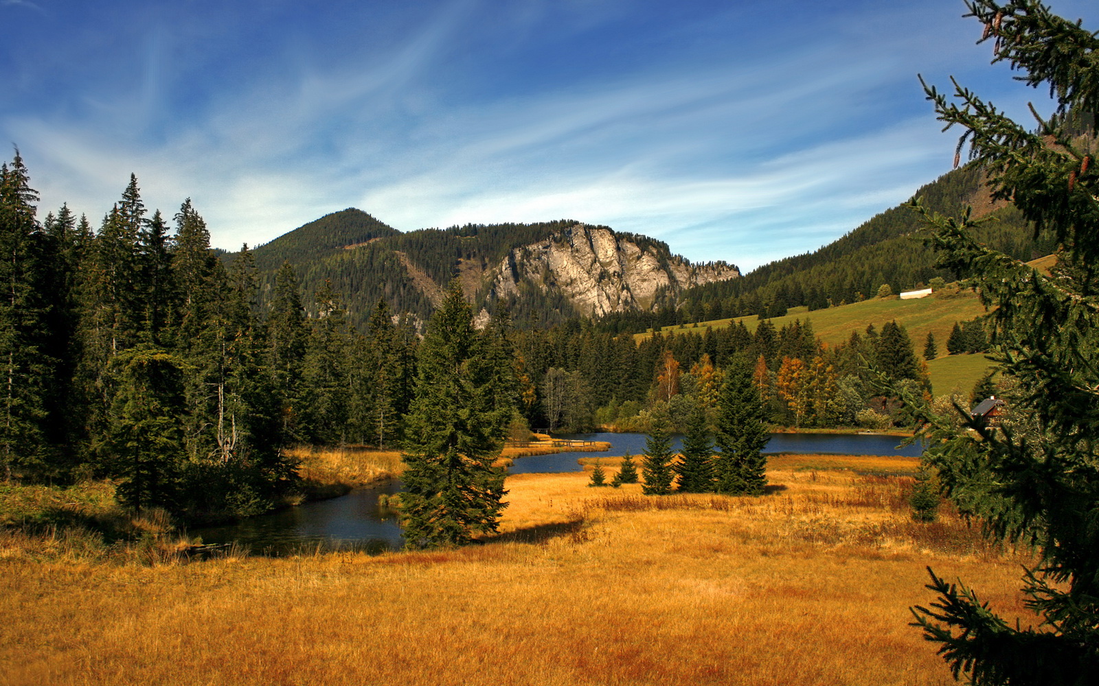 战术教科书与新王加冕，亚特兰大绞杀切尔西，戈麦斯展露巨星锋芒