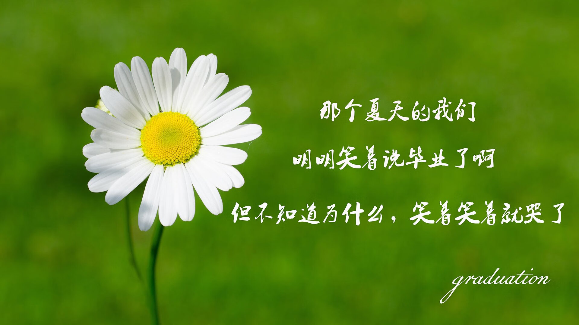 加冕,当最后一秒的弧光,照亮一个时代的黄昏