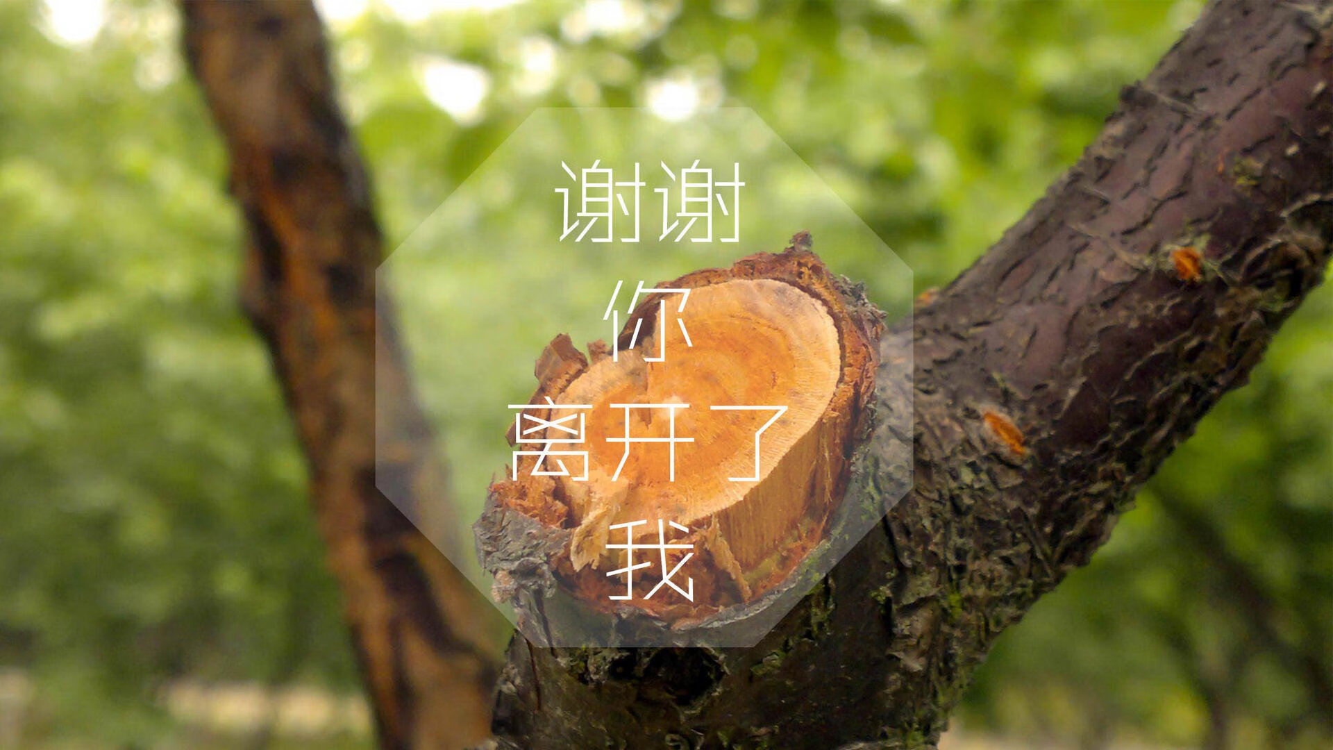 唯一剧本,苏亚雷斯执掌波兰,2026生死战横扫阿联酋—当南美之魂点燃东欧铁骑